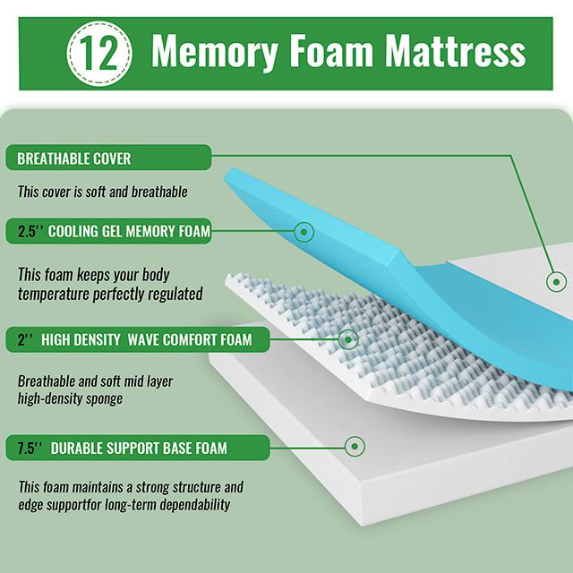 Coreopsis 12" Twin Memory Foam Wave Comfort